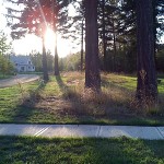 IMG_0107